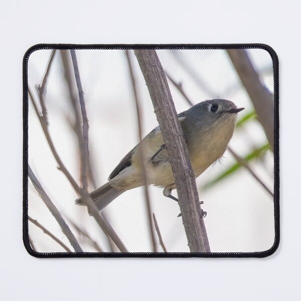Item preview, Ruby-crowned Kinglet designed and sold by CarolM.