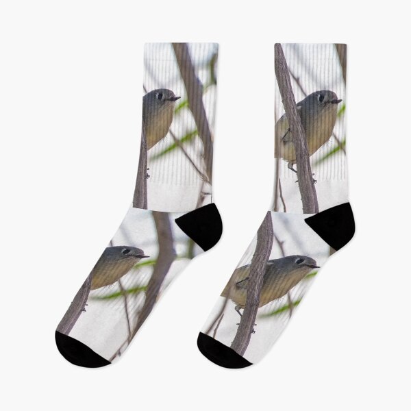 Item preview, Ruby-crowned Kinglet  designed and sold by CarolM.