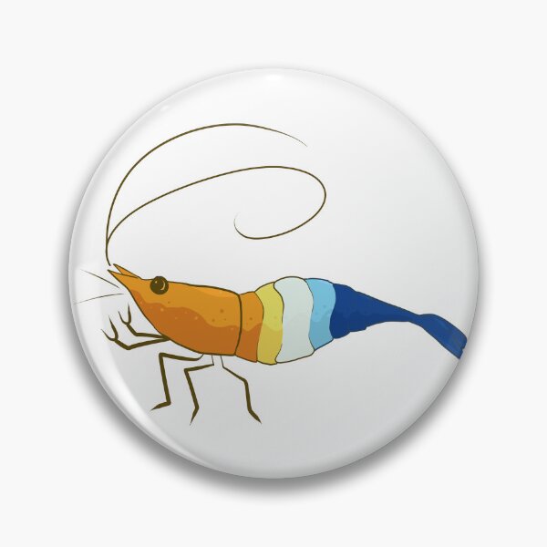 Item preview, Aroace Sunset Pride Neocaridina Freshwater Shrimp designed and sold by SnowAfterFyre.