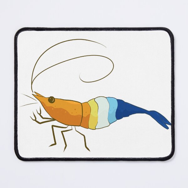 Item preview, Aroace Sunset Pride Neocaridina Freshwater Shrimp designed and sold by SnowAfterFyre.