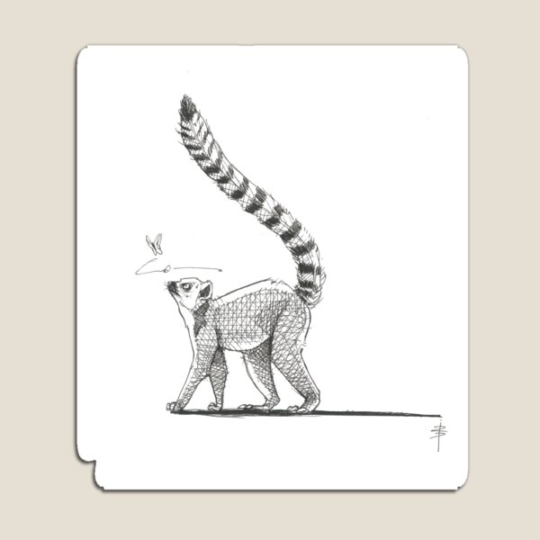 curious lemur Magnet
