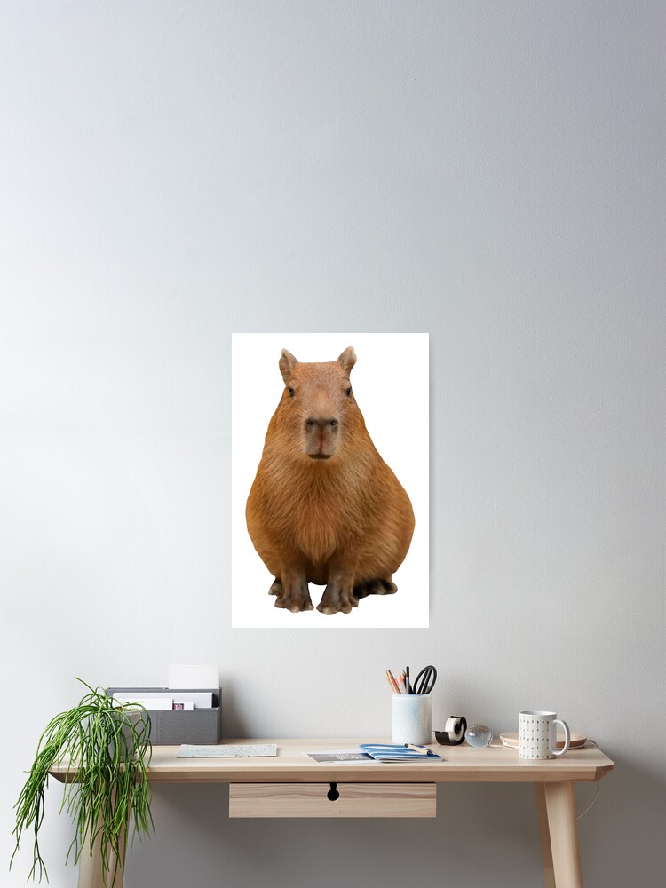 Capybara Poster