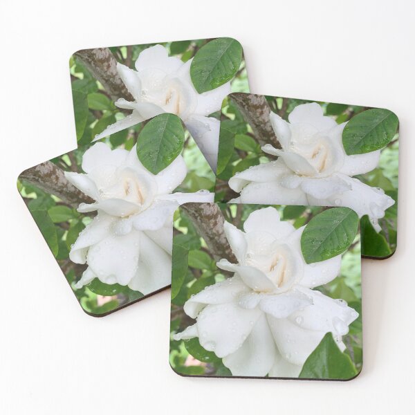 Item preview, Gardenia flower  designed and sold by baksuart.