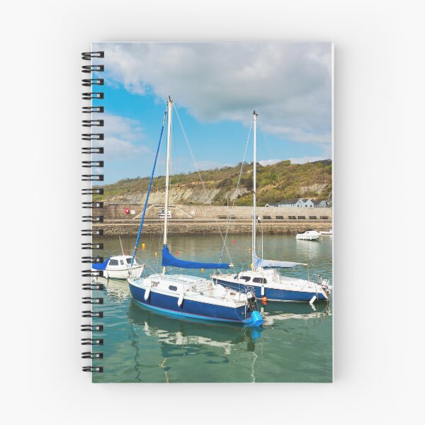 Item preview, Cobb Harbour at Lyme Regis designed and sold by Dorset Girl.