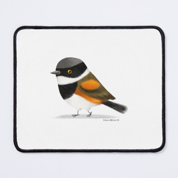 Item preview, Cape Batis Bird designed and sold by julianamotzko.