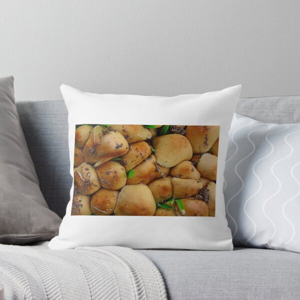 Item preview, Squashed like Sandines designed and sold by myraj.