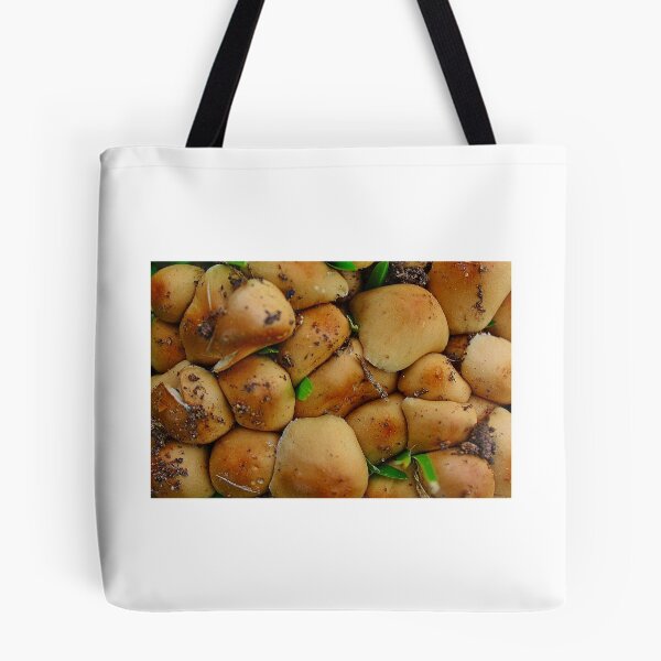 Item preview, Squashed like Sandines designed and sold by myraj.