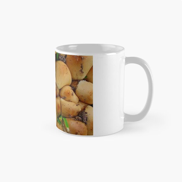 Item preview, Squashed like Sandines designed and sold by myraj.