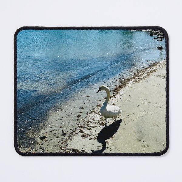 Item preview, Checking out the waves designed and sold by Ruth Curtis.