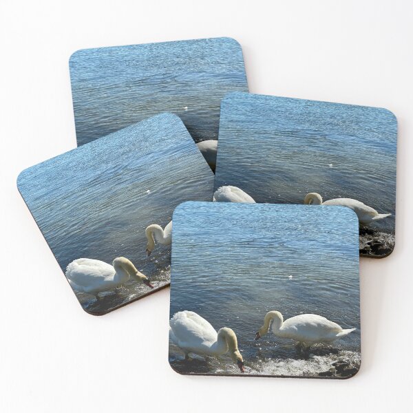 Item preview, Two Swans searching for food designed and sold by Ruth Curtis.