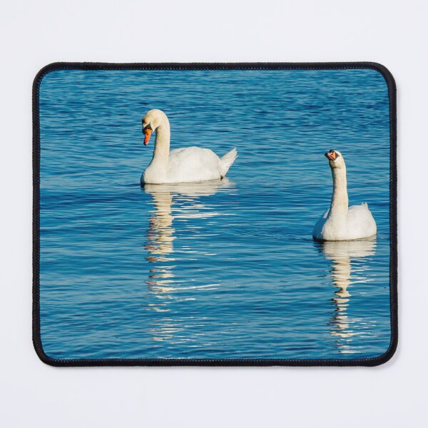 Item preview, Swan Reflections designed and sold by Ruth Curtis.