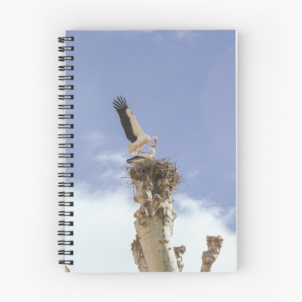 Item preview, Storks in Colmar designed and sold by sbodo.