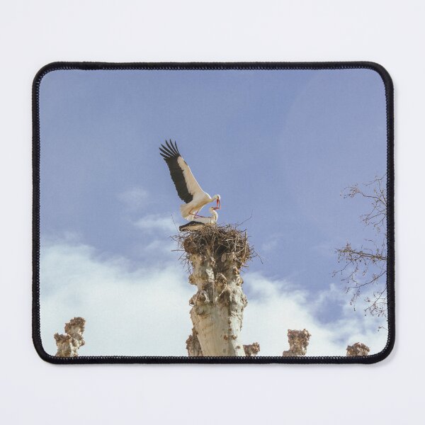 Item preview, Storks in Colmar designed and sold by sbodo.
