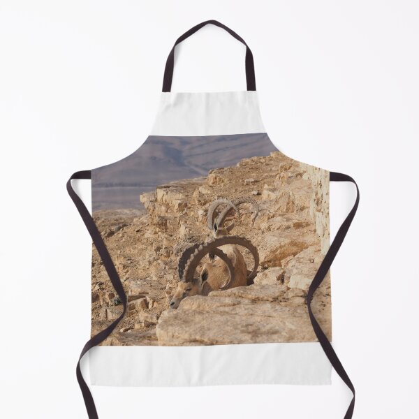 Item preview, canyon ramon israel designed and sold by oleg gendel.