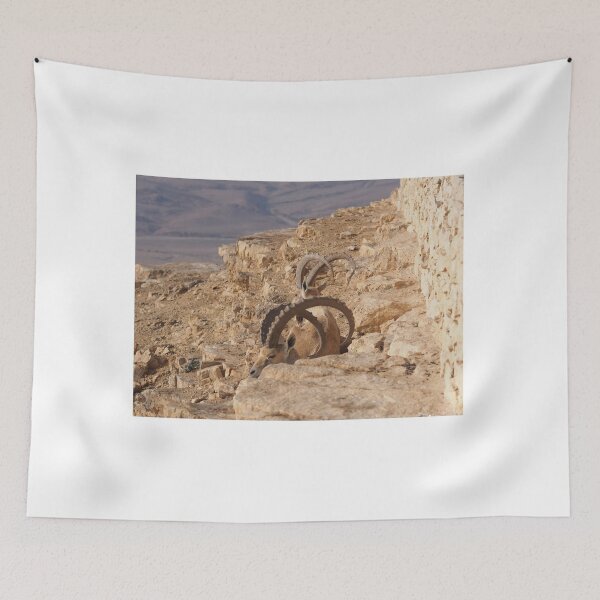 Item preview, canyon ramon israel designed and sold by oleg gendel.