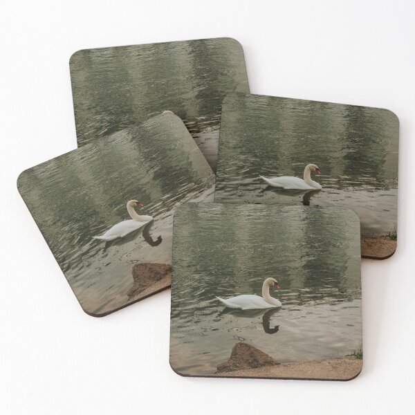 Item preview, Swan in the Rhine River designed and sold by sbodo.