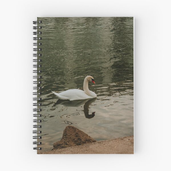 Item preview, Swan in the Rhine River designed and sold by sbodo.