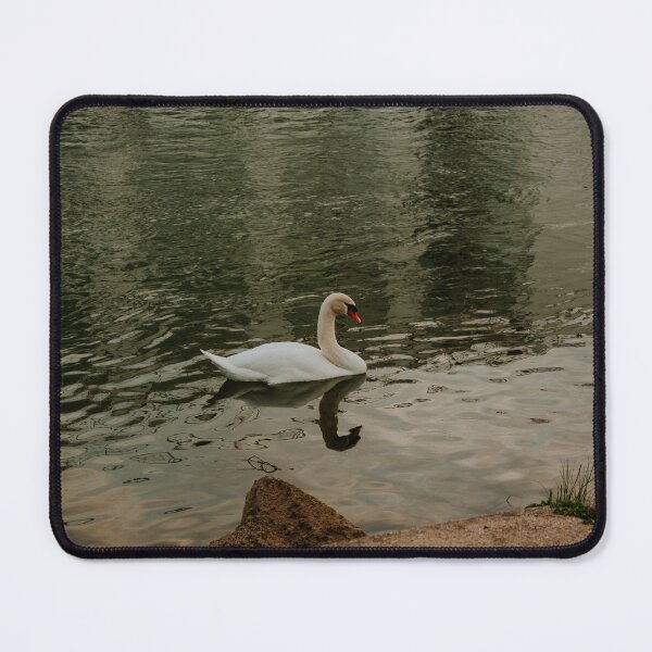 Item preview, Swan in the Rhine River designed and sold by sbodo.