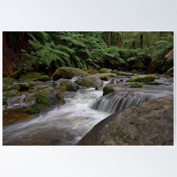 Item preview, Dance of the Silken White - Toorongo River designed and sold by Jim Worrall.