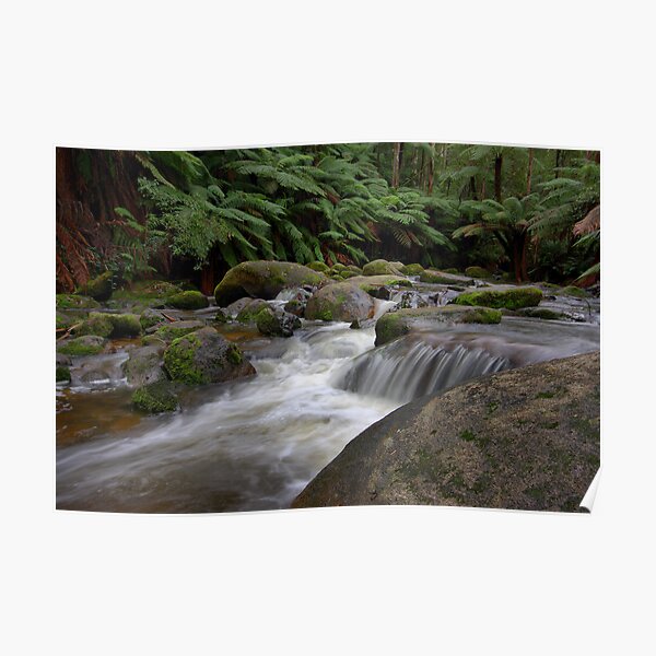 Dance of the Silken White - Toorongo River Poster