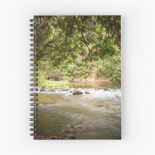 Item preview, Boyne River, Flesherton, Ontario designed and sold by jrtwynam.