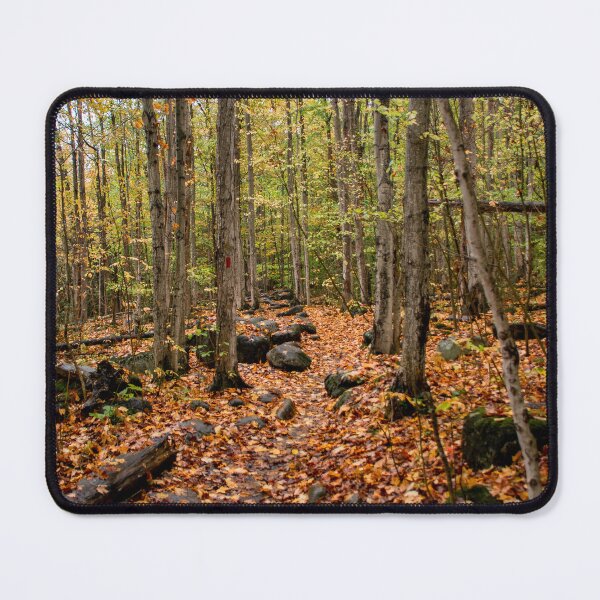 Item preview, Autumn-Coloured Hiking Trail through the Woods designed and sold by jrtwynam.