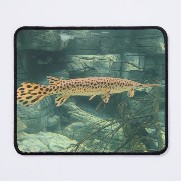 Item preview, The Gar designed and sold by O-Time.