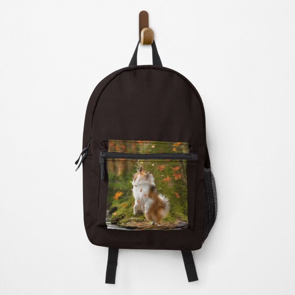 Item preview, Dog playing rough collie leaves forest river - Photography and Edition  designed and sold by MrGreenDragon.