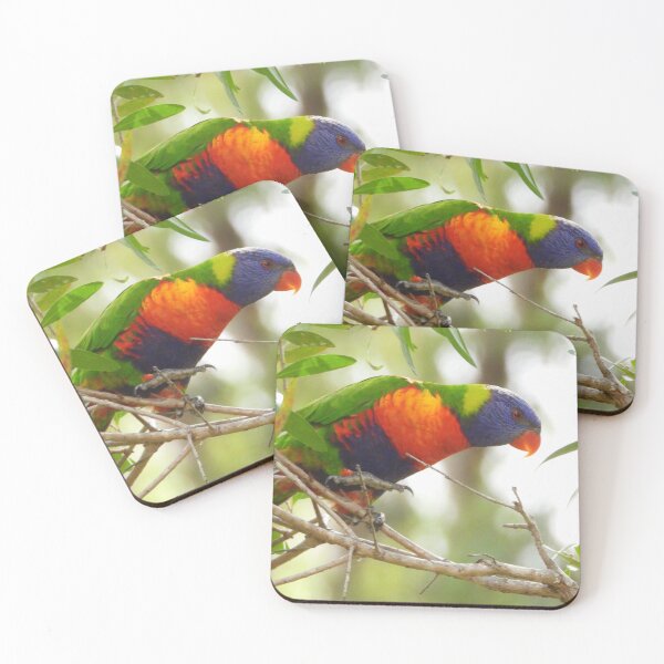 Item preview, Rainbow Lorikeet taking a breather designed and sold by Jenny  Dyer.