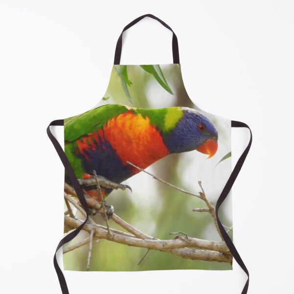 Item preview, Rainbow Lorikeet taking a breather designed and sold by Jenny Dyer.