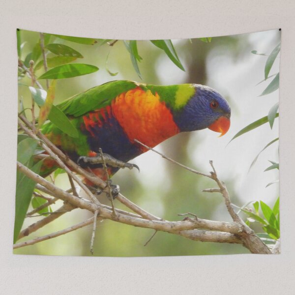 Item preview, Rainbow Lorikeet taking a breather designed and sold by Jenny  Dyer.