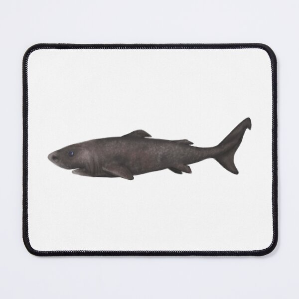 Item preview, Greenland Shark designed and sold by Modsecai.