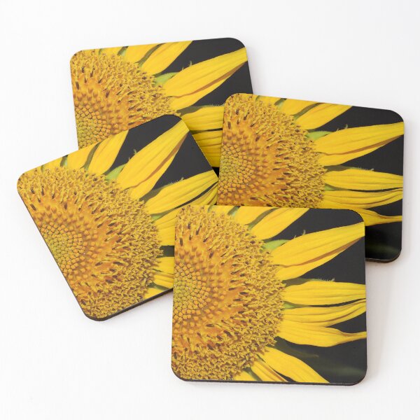 Item preview, Sunflower close up (just half) designed and sold by Jenny  Dyer.