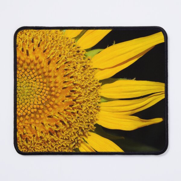Item preview, Sunflower close up (just half) designed and sold by Jenny  Dyer.