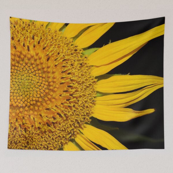 Item preview, Sunflower close up (just half) designed and sold by Jenny  Dyer.