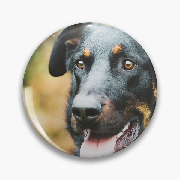 Item preview, Beauceron Dog designed and sold by TheAnimalZ00.