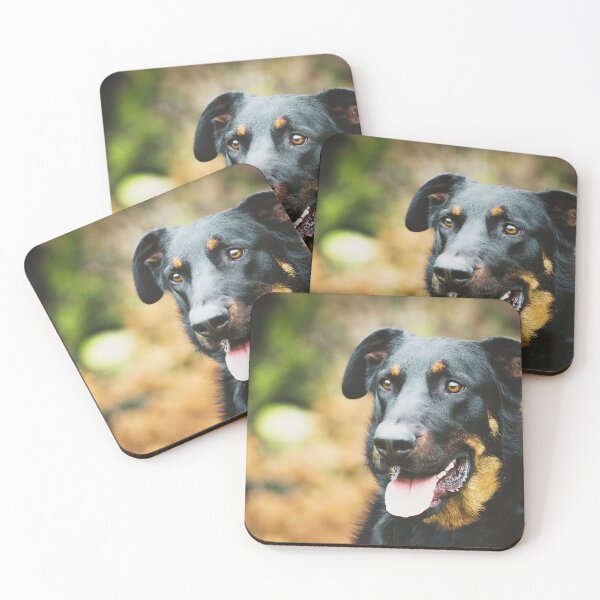 Item preview, Beauceron Dog designed and sold by TheAnimalZ00.