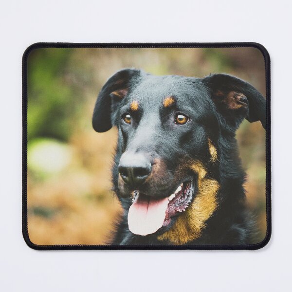 Item preview, Beauceron Dog designed and sold by TheAnimalZ00.