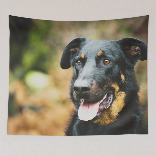 Item preview, Beauceron Dog designed and sold by TheAnimalZ00.