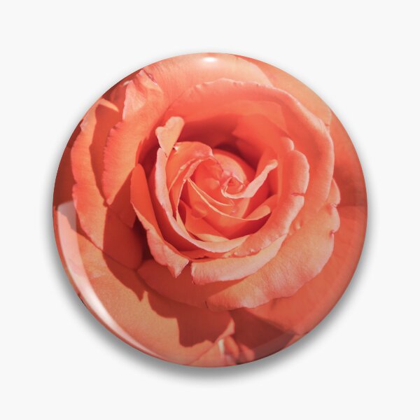 Item preview, The Sweetest Tangerine Orange Color - Singular Rose in Bloom designed and sold by Georgia Mizuleva.