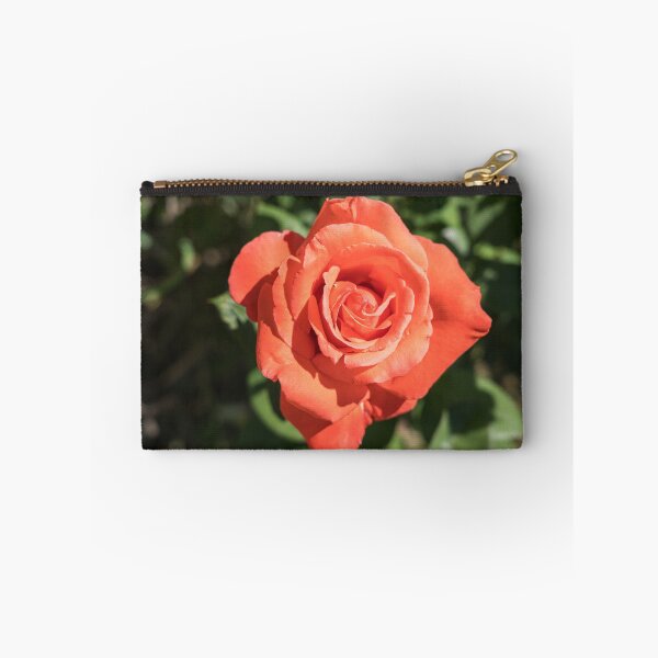 Item preview, The Sweetest Tangerine Orange Color - Singular Rose in Bloom designed and sold by Georgia Mizuleva.