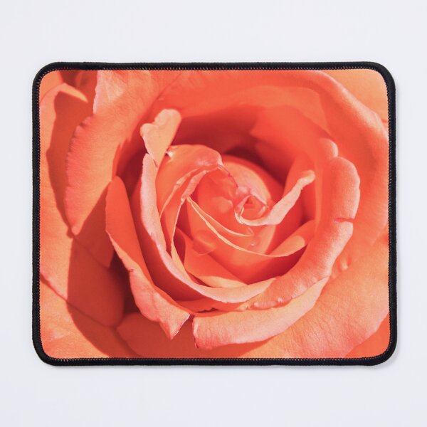 Item preview, The Sweetest Tangerine Orange Color - Singular Rose in Bloom designed and sold by Georgia Mizuleva.