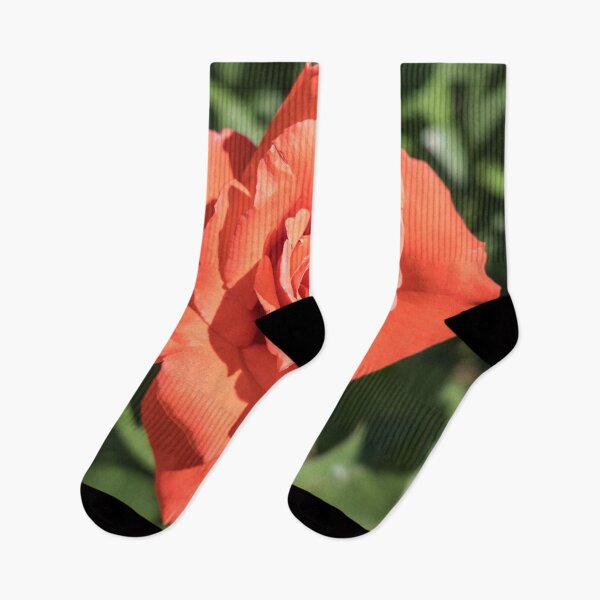 Item preview, The Sweetest Tangerine Orange Color - Singular Rose in Bloom designed and sold by Georgia Mizuleva.