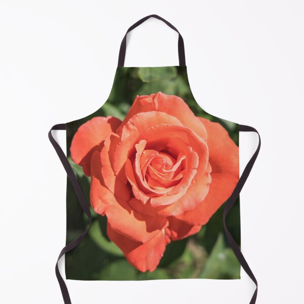Item preview, The Sweetest Tangerine Orange Color - Singular Rose in Bloom designed and sold by Georgia Mizuleva.