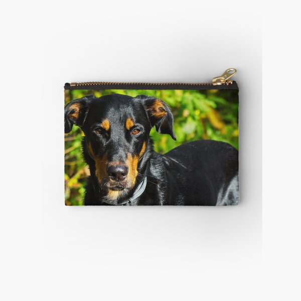 Item preview, Beauceron Photo designed and sold by TheAnimalZ00.
