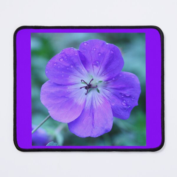 Item preview, Purple Petunia Flower Pinwheel Rain Drops designed and sold by LilyPadShop.