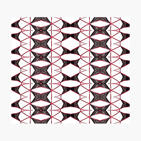 pattern, design, tracery, weave, remarkable, extraordinary Photographic Print