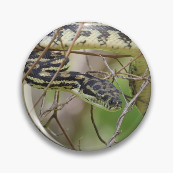 Item preview, Python an Australian Reptile designed and sold by Jenny  Dyer.