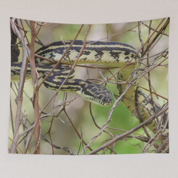Item preview, Python an Australian Reptile designed and sold by Jenny  Dyer.