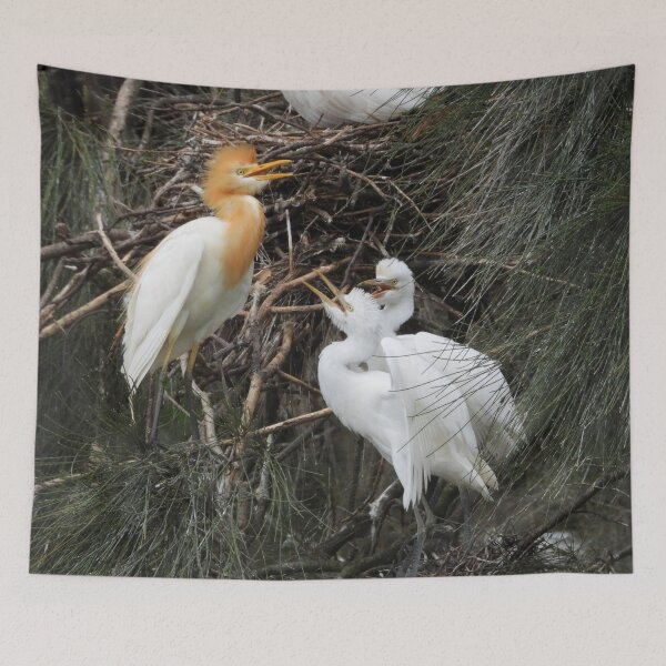 Item preview, Cattle egret feeding her babies designed and sold by Jenny  Dyer.